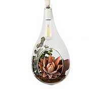 FGI-BOTANIC HANGING LIGHT Φ200 with FAKEGREEN