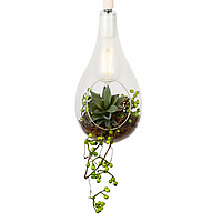 FGK-BOTANIC HANGING LIGHT Φ160 with FAKEGREEN クリア