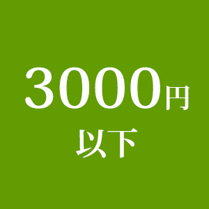 3000円以下の商品/Add-on