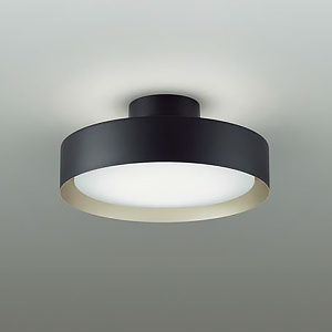 天井照明/ceiling lighting