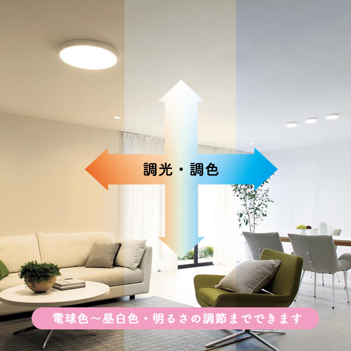 日本限定モデル LEDダウンライト 温白色 配光角度50°φ50 グレアレス