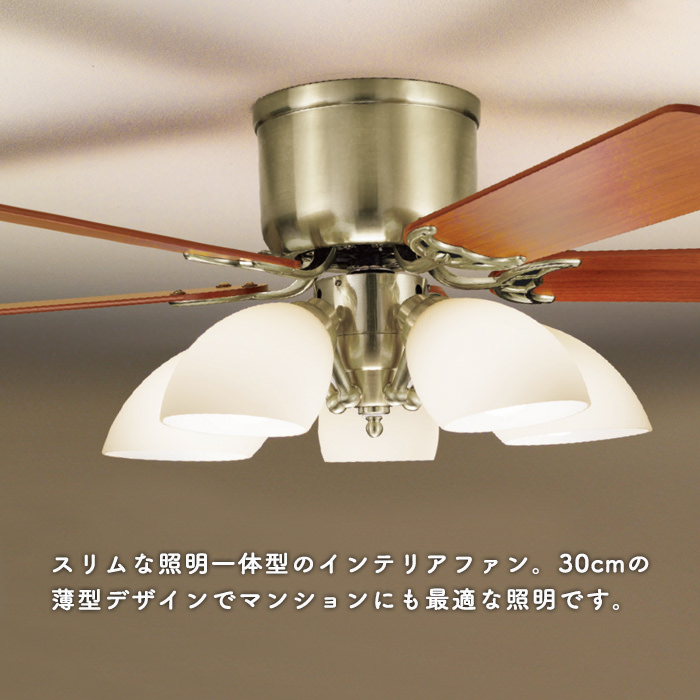 AC シーリングファン リバーシブル羽・〜6畳 リモコン付き インテリア照明の通販 照明のライティングファクトリー